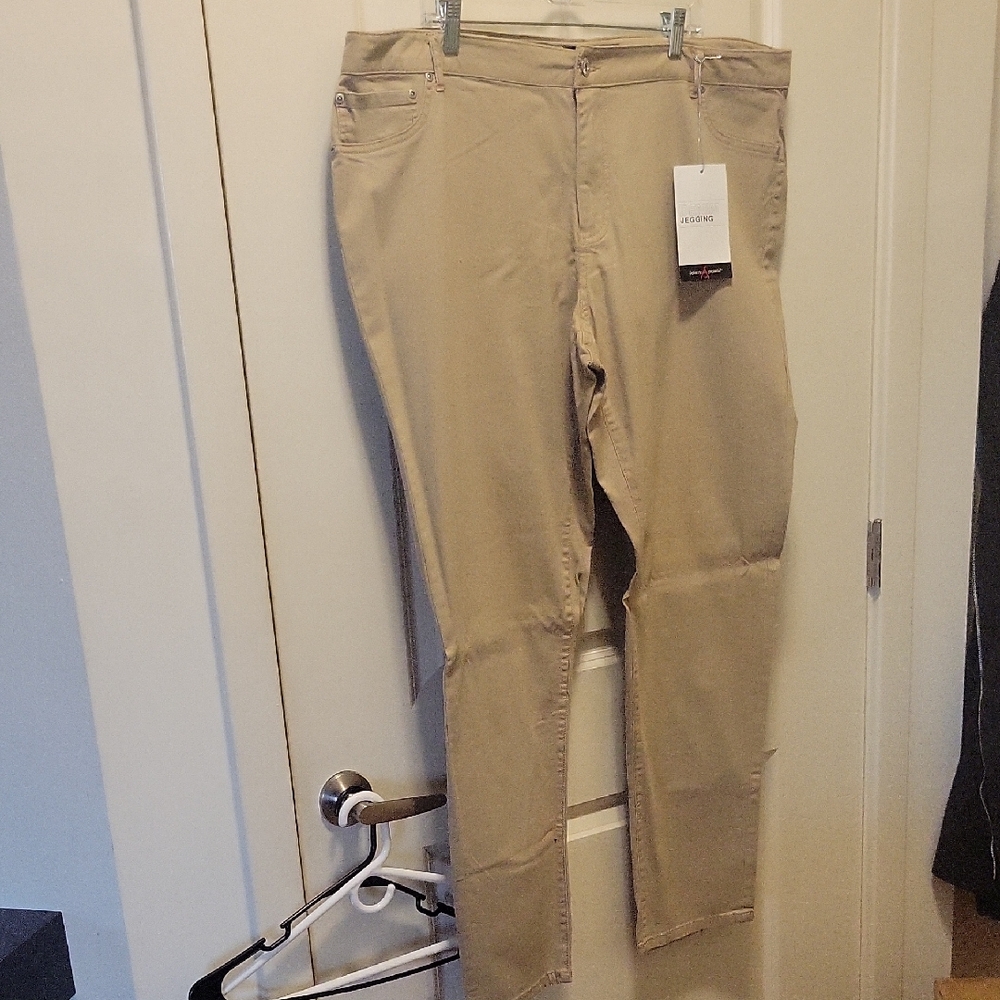 Ashley Stewart Tan Skinny Jeans